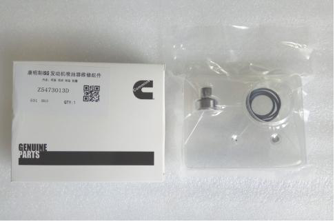 CUMMINS ISG Injector Valve Set 5473013D