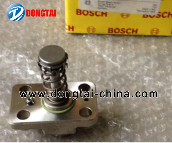 NO.542(2)CP1 Plunger F 01M 100869