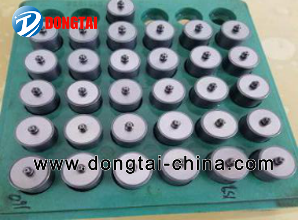 NO.543(2) Bosch CP2.2 plunger delivery valve