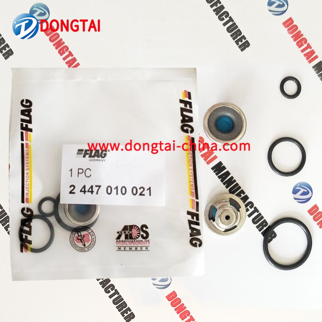 NO.564(4)Fuel Pump Repair Kits 2447010021 , 2 447 010 021