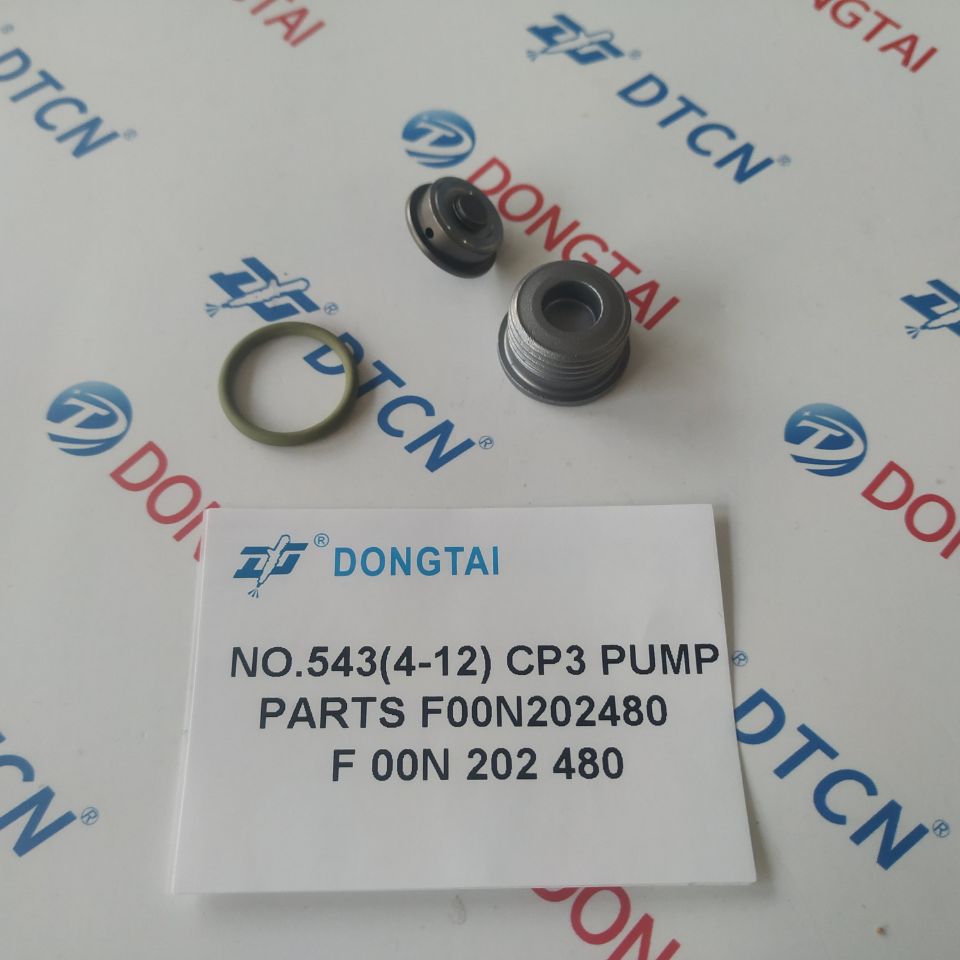 NO.543(4-12) CP3 PUMP PARTS F00N202480, F 00N 202 480