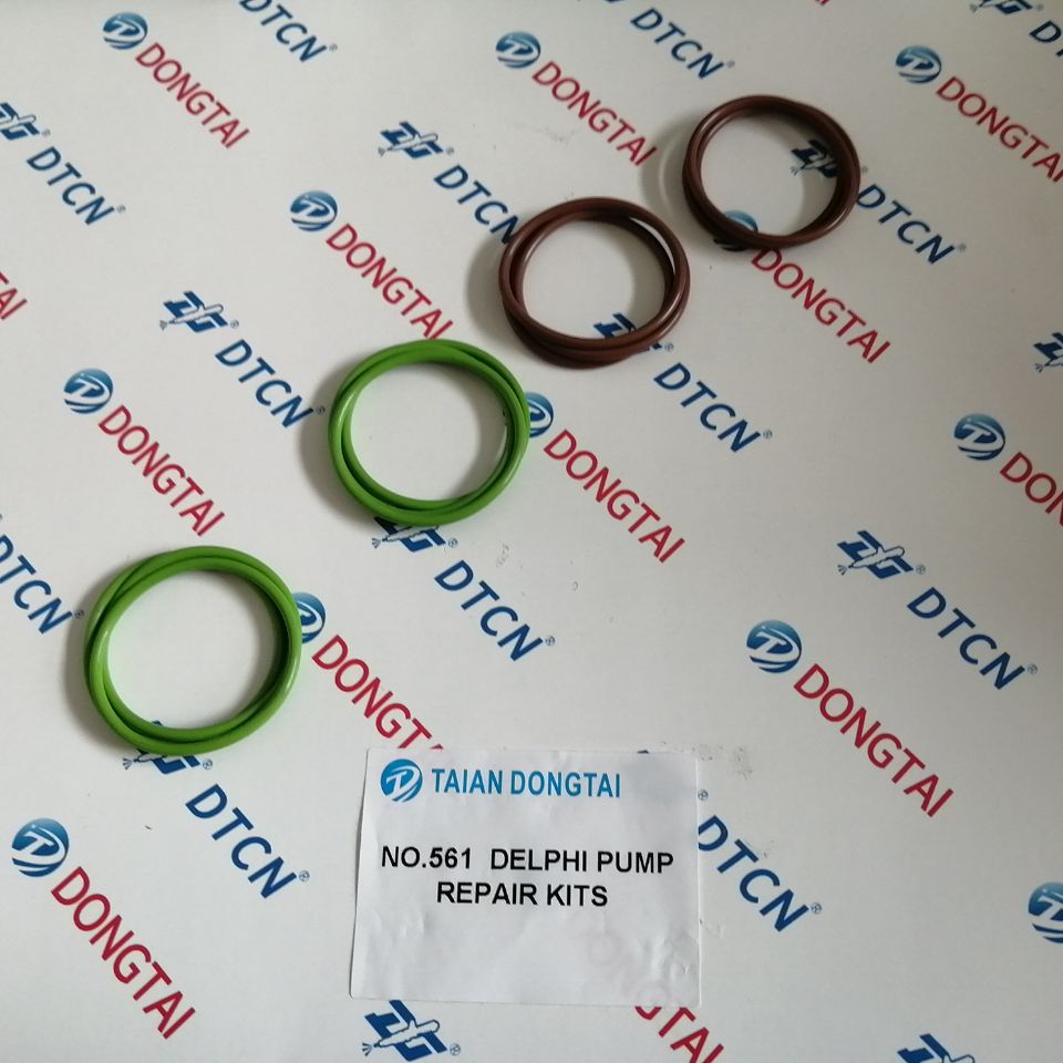 NO.561 DELPHI Pump Repair Kits