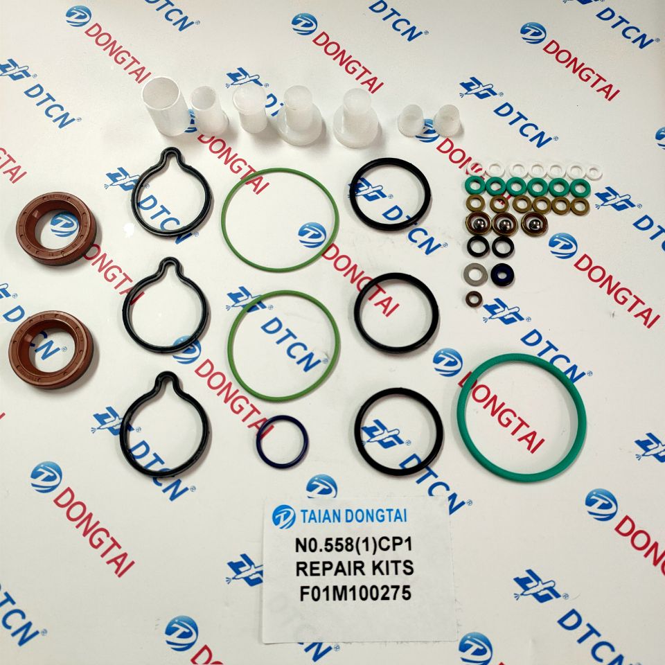 NO.5581CP1 Repair Kits F01M100275